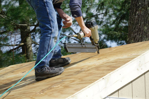 Best Attic Insulation Installation  in Elk Creek, KY